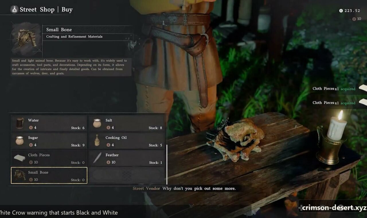 Crimson Desert gameplay screenshot for an English guide on cms.crimson-desert.xyz.